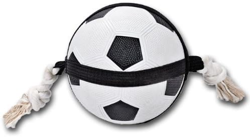 RUFF'N TUMBLE Activity Soccer Ball