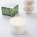 Soap & Paper Factory Roland Pine 18 oz Three-Wick Soy Candle
