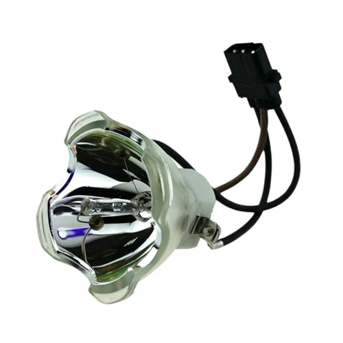 Solution écran noir avec la lampe SP-LAMP-038 pour Infocus IN5106