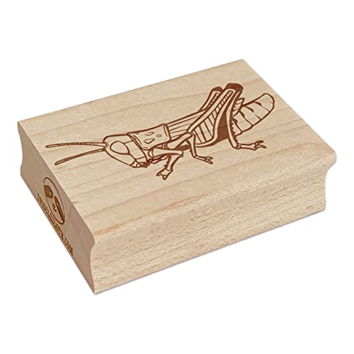 Realistic Grasshopper Locust Bug Insect Rectangle Rubber Stamp for Stamping Crafting - 2.5in Large
