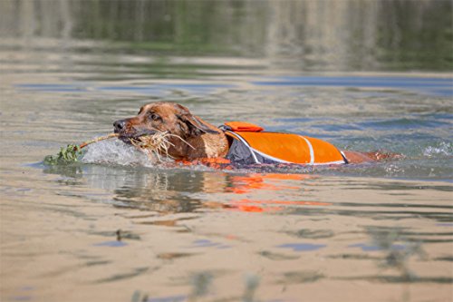 Knuffelwuff 13921-002 Hunde-Schwimmweste Storm mit Griff und Reflektoren größe: M