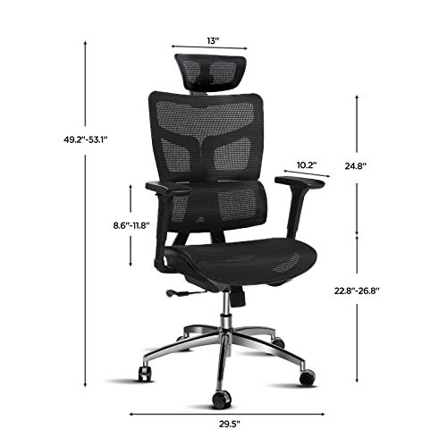 El mejor review de Silla de malla los preferidos por los clientes. 29 Imagen adicional