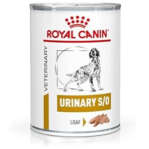 Royal Canin Veterinary Urinary S/O Mousse Dose