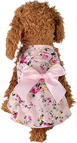 킢ybghXs[XԖ͗lꂨPlLmhbOEFA`aRX`[񉼑tďHUo|EFfBOp[eB[LOBe(S,sN)