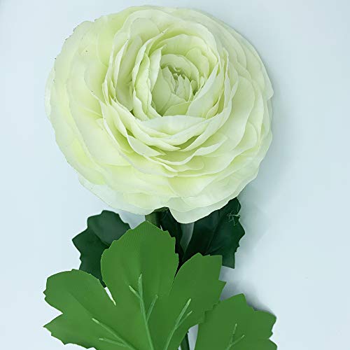 Riese Ranunculo Bouquet mit 55 cm natürlicher Berührung mit Ø12 cm Blüten in Weiß