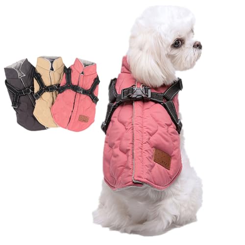 AttRex  ybg xXg H~  R[g WPbg _E {A n[lXt hbOEGA p[J[ ^ ^ ۉ h wJ ȕAE^[ Uo (XL,sN)