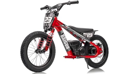 Wanan 250W Kids Electric Dirt Bike, 15MPH, 24V, 16