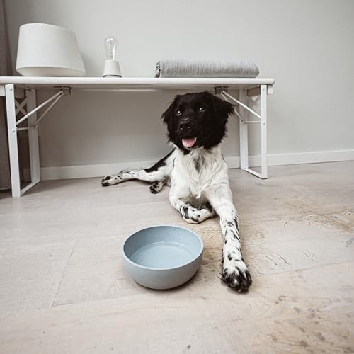 District 70 - Bamboo Hundenapf - Eisblau - Medium: 17, 5 x 17, 5 x 5, 8 cm (1.000 ml)