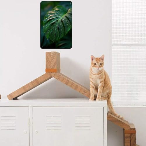 Poster en métal Monstera déco murale durable pour mur vide
