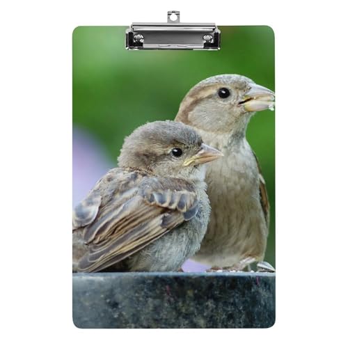 Planchettes à pince A4 oiseaux avec support rigide pour restaurant