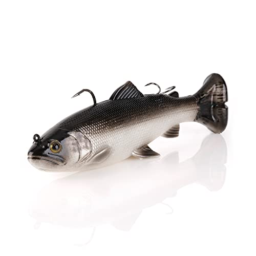 3D Pulse Tail Trout Rtf 6" (Dirty Silver) 3379 One Size #TOP13