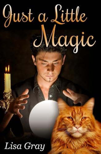 Just a Little Magic 1512343692 Book Cover