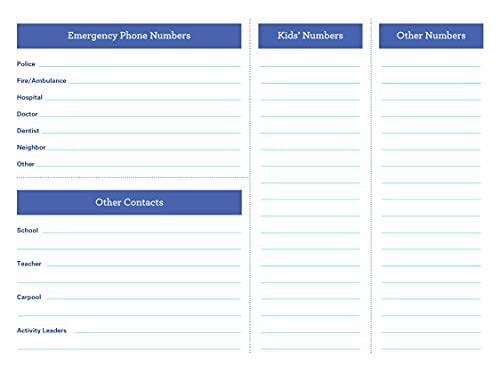 2022 Amy Knapp's Big Grid Family Organizer Wall Calendar: August 2021-December 2022