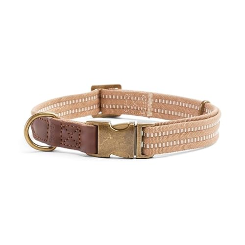 Reddy by Petco Webbed Dog Collar Tan Large/X-Large