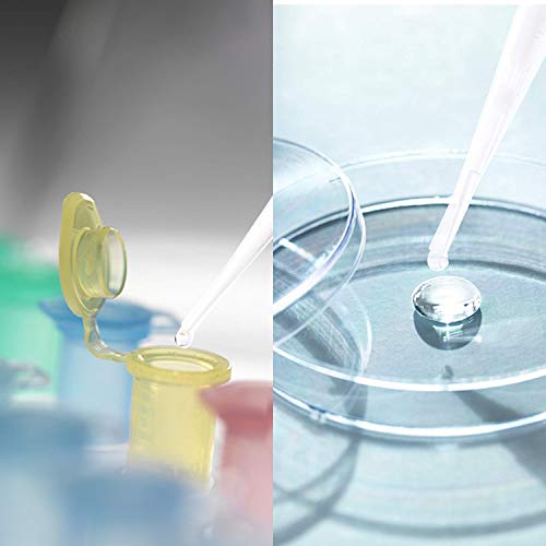 100Pcs 3Ml Disposable Laboratory Pipettes Dropper, Plastic Transfer Pipette For Transfering Liquids And Other Liquid Use. #TOP5