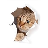 ポスター ウォールステッカー シール式ステッカー 飾り 297×420㎜ A3 写真 フォト 壁 インテリア おしゃれ 剥がせる wall sticker poster 013566 猫 写真