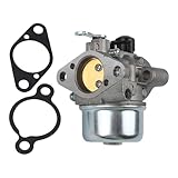 Costruzione: questo carburatore è realizzato con materiali metallici robusti e progettato per resistere alle esigenze di un uso regolare nella cura del prato.