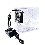 Séparateur de Graines pour Oiseaux,Décortiqueur Électrique Amovible - Séparateur de Coques et Poussières | Pour Perruches Perroquets Inséparables Conures Sereins Indoors