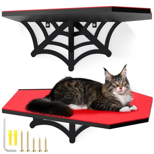 Gemscream Gothic Wall Mounted Halloween Shelf Coffin Spider Web Style Cat Tree Wall Load Bearing up to 30 Lbs/ 14 kg Black Cat for Indoor