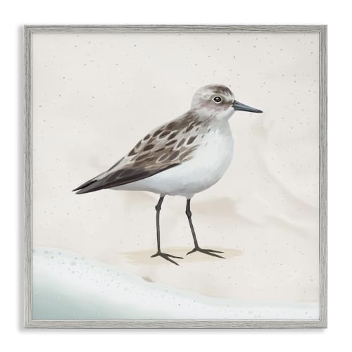 Sandpiper Bird Shoreline Coastal, 17 x 17 Inch Framed Giclée Print