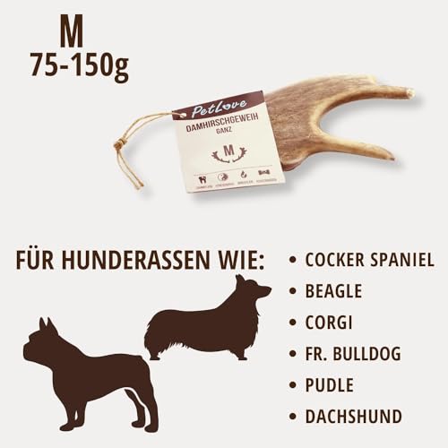 PetLove Damhirsch Geweihstange für Hunde & Welpen • Hirschgeweih Hund • Natürliches Geweih • Kauspielzeug Größe M (75-150g)