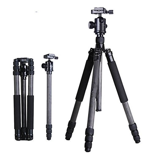 GOWE profesjonalny statyw z włókna węglowego monopod kulowy przenośny kompaktowy statyw podróżny do aparatu DSLR 28 mm noga