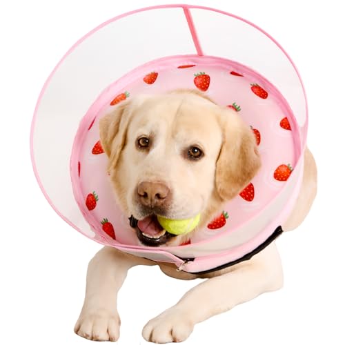 Image of Inflatable Dog Cone Collar for Large Medium Small Dogs, Soft Dog Donut Collar Adjustable Recovery Cone for Pets After Surgery, Extra Enhanced Anti-Licking Guard Shield (Strawberry Print, X-Large)