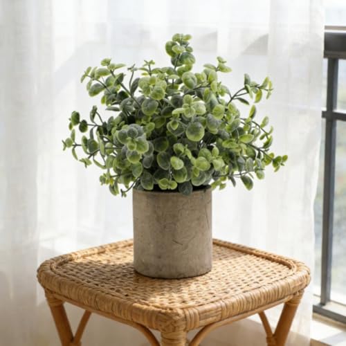 Planta de eucalipto con diseño equilibrado y aspecto realista 7