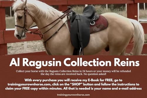 Al Ragusin Collection Horse Reins – Premium Leather Training Reins with Bungee for Humane Riding, Durable Equestrian Tack for Western & English Horses (Large)