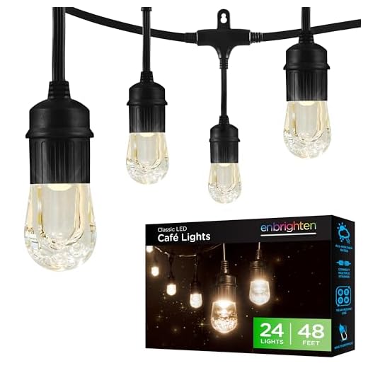 Enbrighten Classic Warm White String Lights, 48ft Black Cord, 24 Shatterproof Acryllic Bulbs, Weatherproof, Outdoor String Lights, 31664