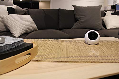 Amaryllo Apollo Pet Edition: Biometric Auto Tracking PTZ Pet Camera with Pet Detection(Dogs/Cats/Birds), Support Fire Warning, Support Person, Vehicle Detection, Support Face Recognition, 1080p - Thumbnail 4