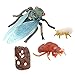 Hellery Ciclo de Vida de Crecimiento de Cigarra Realista Modelo de Insecto Juguete de Ayuda para La Enseñanza Temprana para Niños