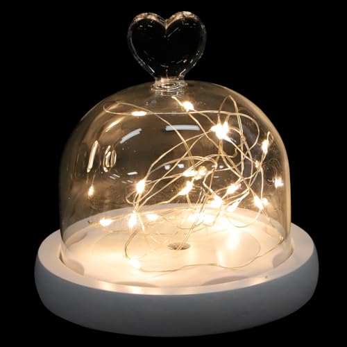 MOBUTOFU ��l?�i���ԃK���X�h�[�����C�g�t���J�o�[ �Ԃ̕��i�f�B�X�v���C�p �s�ł̉ԑ����A�N�Z�T���[ �z�[���f�R���[�V��������