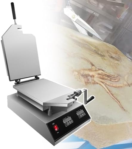 Pressa Manuale in Acciaio Inox per Tortini di Pesce E Frutti di Mare, Ideale per Negozi di Snack E per Uso Domestico - Perfetta per Snack Croccanti E Street Food.