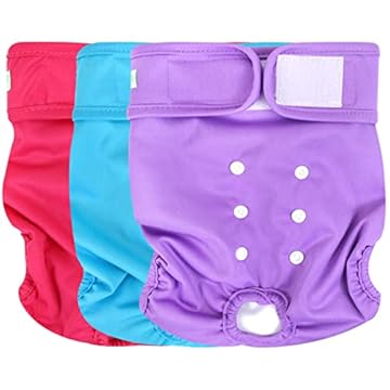best diaper for female dog in heat