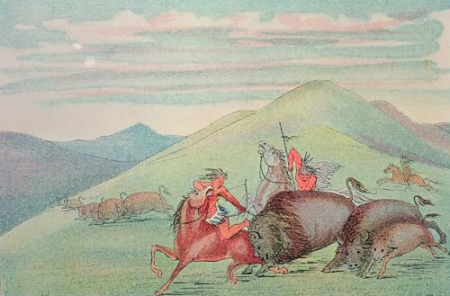 Toile peinture murale animal George Catlin impression premium canvas