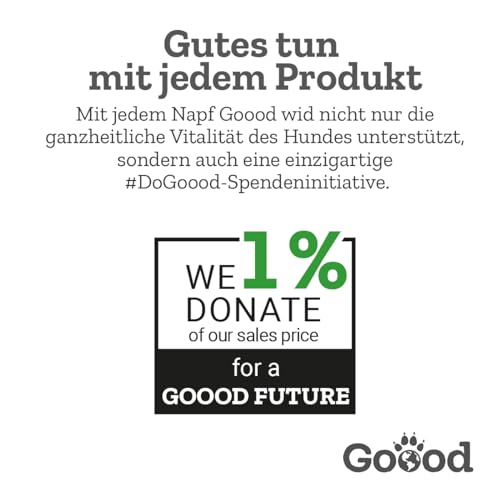 Goood Adult Nachhaltige Forelle – Trockenfutter, Hundefutter – getreidefrei, für Haut und Fell, mit hochwertigen Proteinen – für ausgewachsene Hunde – 10kg
