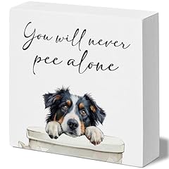 Bernese Mountain White