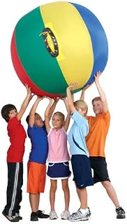 US Games Complete Nylon Cageball (36-Inch)