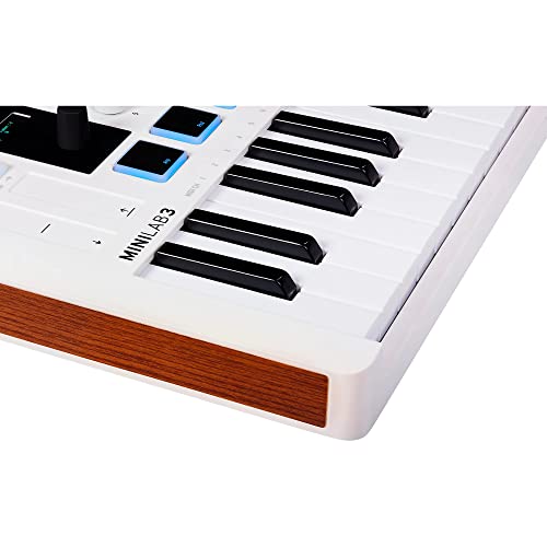 Arturia Minilab 3 Hybrid Midi Keyboard Controller Bundle With Pig Hog Midi Cable & Liquid Audio Polishing Cloth (3 Items) #TOP5