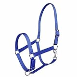 Miller's Adjustable Nylon Halter with Snap and Breakaway Leather-Royal Blue-Cob
