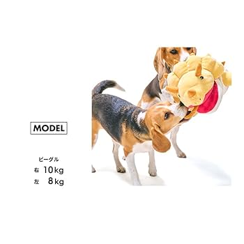 小動物用品セット(バラ売り可) 楽天市場】小動物用 ハーネスリードセット ベストタイプ ソフト