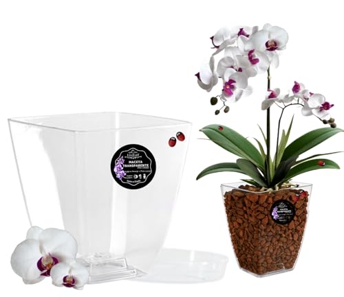 LiveLaif - Maceta Orquidea Transparente Rectangular 14x14x15 cm + Plato Maceta | Macetas Plastico | Macetas para Orquídeas Transparente | Macetero Orquidea | Elegir Tamaño y Unidades