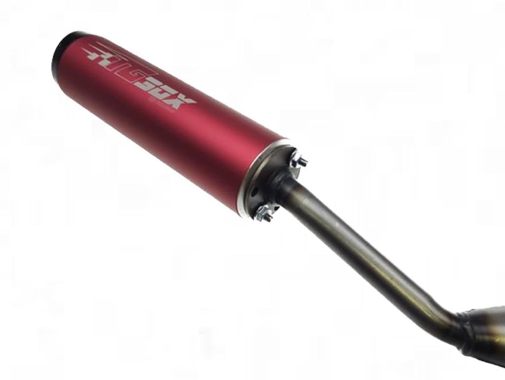 Auspuff Sportauspuff XS-2 – E-geprüft – passend für Rieju MRT, MRX, Beta RR 50 (2005–2012) – Auspuffanlage mit Krümmer + Endschalldämpfer
