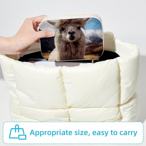Boîte à bijoux de voyage en alpaga, le rangement compact double couche pour partir l'esprit léger - 6
