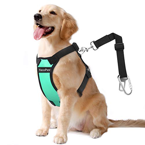 VavoPaw Dog Vehicle Safety Vest Harness, Adjustable Soft Padded Mesh ...