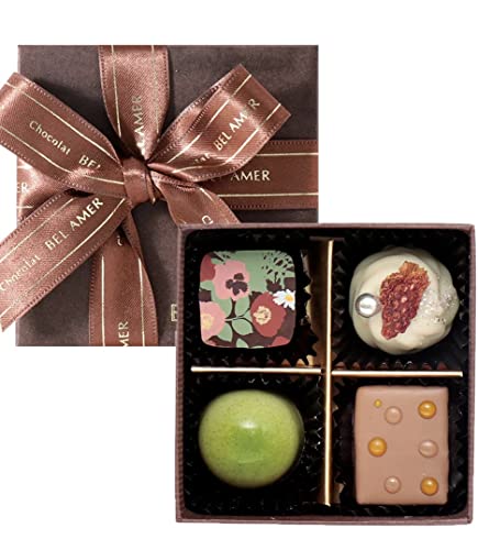 xA[@VRMtg 4@ܕt@lG܁X̋lߍ킹@`R[g@2023@̓