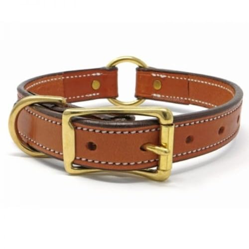 Indian Brand Premium Leather Dog Collar with Adjustable Buckle for All Breeds Size, Ring Collar (B0CY2P94LJ) Amazon Price History, Amazon Price Tracker