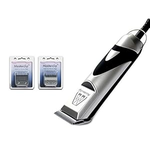 Labradoodle | Goldendoodle Professional ...