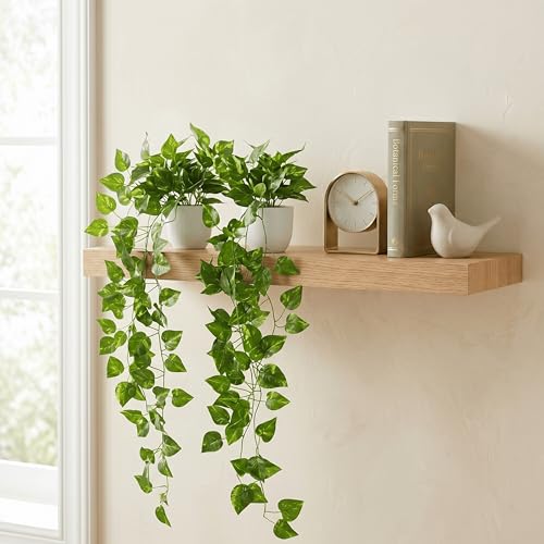 Image of Dekorly Artificial Hanging Garland with Pot - 100cm Rose Vine, 10cm Decorative Pot for Table, Shelf & Wall Decor (2, Vines-01)